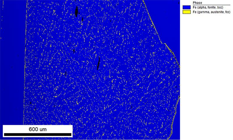Gibeon 陨石样本的相图。